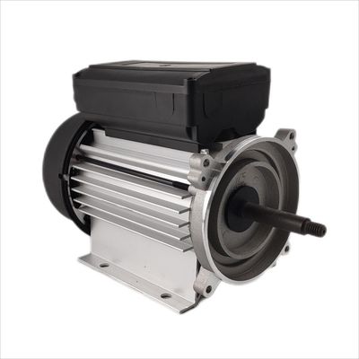 одиночная фаза электрическое 1hp 3000rpm мотора погружающийся 300-500W для обеспечивая циркуляцию насосов