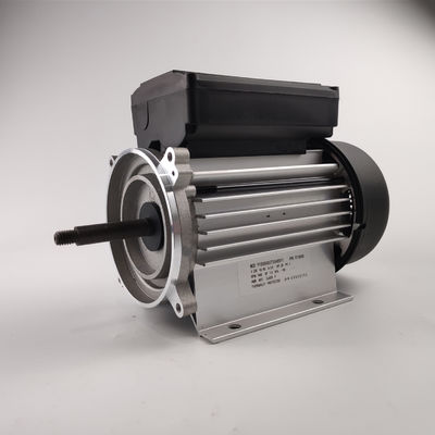 одиночная фаза 3000rpm электрического мотора водяной помпы 300-700W для насосов спа и ванны